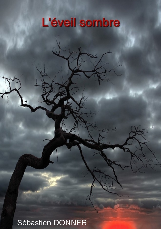 Couverture de livre montrant un arbre sinistre au crépuscule