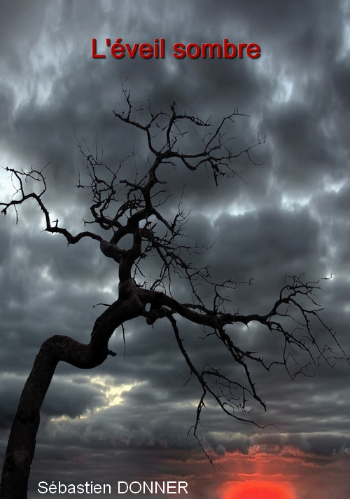 Couverture de livre montrant un arbre sinistre au crépuscule